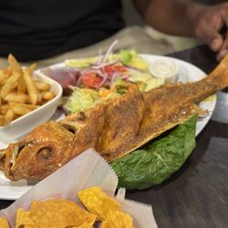 Puerto Vallarta - Snapper