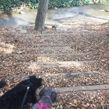 Cornelis Bol Park - You can even go down to the creek - Parks Near Me - Palo Alto, California Cornelis Bol Park - You can even go down to the creek - Parks Near Me - Palo Alto, California