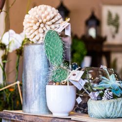Edwards Florist