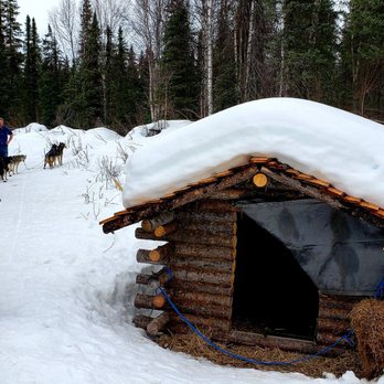 AK Sled Dog Tours - Sledding Near Me - Talkeetna, Alaska AK Sled Dog Tours - Sledding Near Me - Talkeetna, Alaska