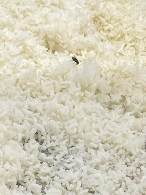 WHOLE FOODS MARKET - Updated February 2026 - 179 Photos & 68 Reviews