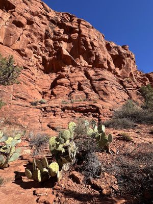 Red Rock State Park by null