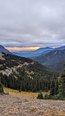 Hurricane Ridge by null