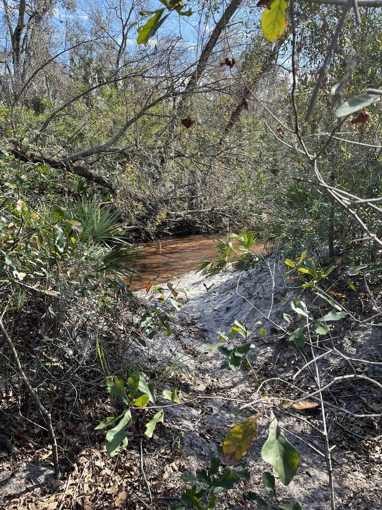 Rye Preserve Image
