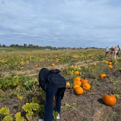 Huber's Orchard & Winery