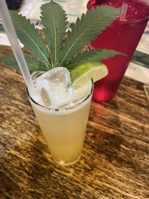 Buds and Brews by null