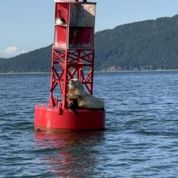 Blue Kingdom Whale and Wildlife Tours