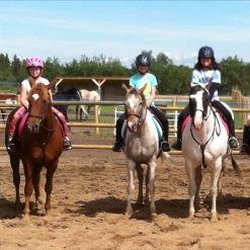 Paints-Plus Equine Center - Outdoor arena