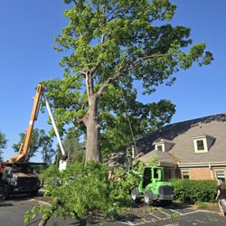Goff's Tree Service