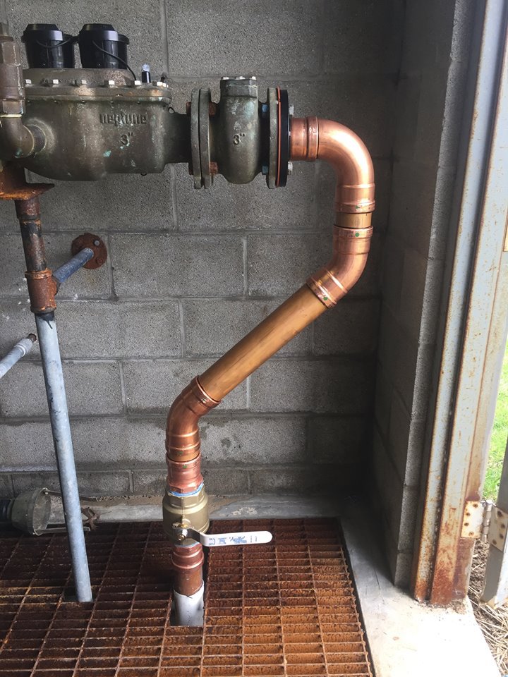 Slide of Peaches Plumbing