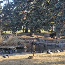 Montana State University - Duck Pond