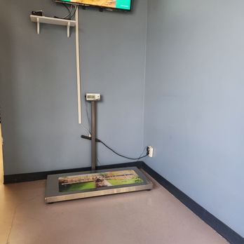 Stine Veterinary Hospital - The scale - Veterinarians Near Me - Bakersfield, California