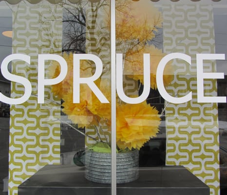 Spruce by null