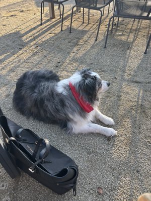 Terra Vina Wines Vineyard by null