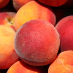 Murray Farmer's Market in September = Peaches!