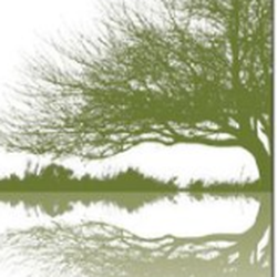 Essary Tree Care