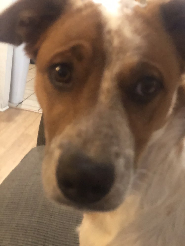 VALLEY VETCO 12 Photos & 26 Reviews 413 Montano Rd NE, Albuquerque