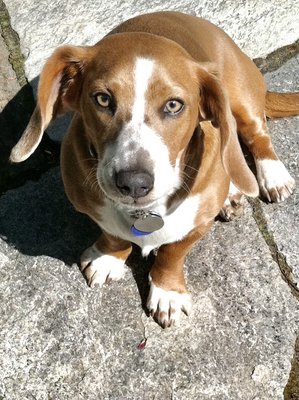 Frosty Freez by null