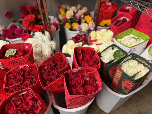 Belleview Florist by null