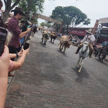 The Stockyards - Local Flavor Near Me - Fort Worth, Texas The Stockyards - Local Flavor Near Me - Fort Worth, Texas