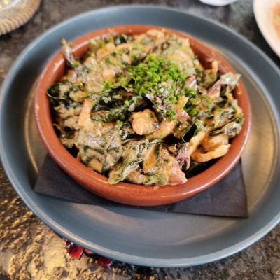 Little Coyote by null