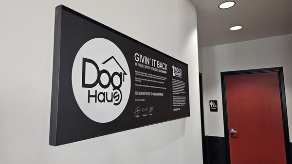 Dog Haus Biergarten by null