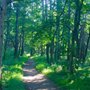 Photo of Arcola Bluffs Day Use Area
