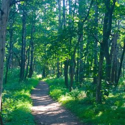 Arcola Bluffs Day Use Area