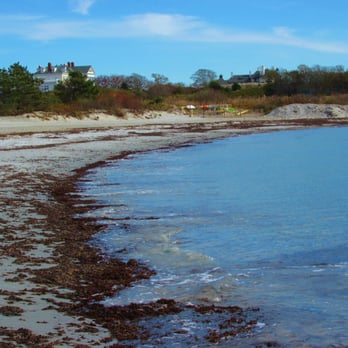 Gooseberry Beach - The beach gets some icky things on occasion - Beaches Near Me - Newport, Rhode Island