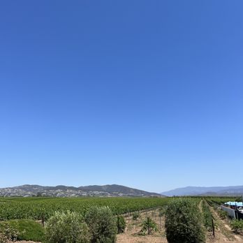 BOTTAIA Winery - Wine Tasting Room Near Me - Temecula, California