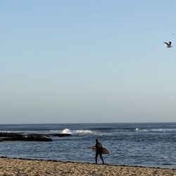 Davenport Landing Beach