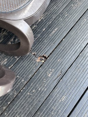 Sandos Caracol Nature Resort & Water Park by null