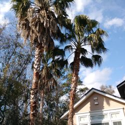 Lawnlord Property Maintenance & Lawn Care