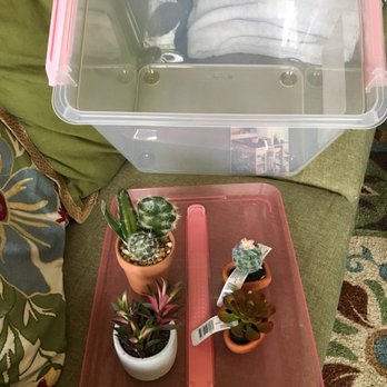 Michaels - Storage container and artificial plants total about $45: with coupons paid about $21. - Art Supplies Near Me - Patchogue, New York Michaels - Storage container and artificial plants total about $45: with coupons paid about $21. - Art Supplies Near Me - Patchogue, New York