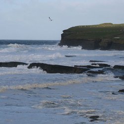 Downpatrick Head