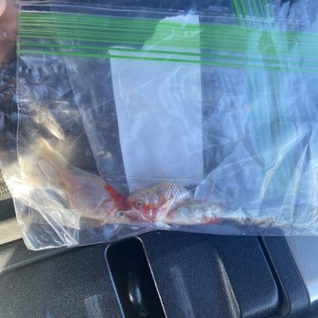 Value Pet Center - Local Fish Stores Near Me - Pennsauken Township, New Jersey