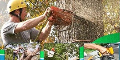 JW Tree & Land Service - tree service in Austin, TX