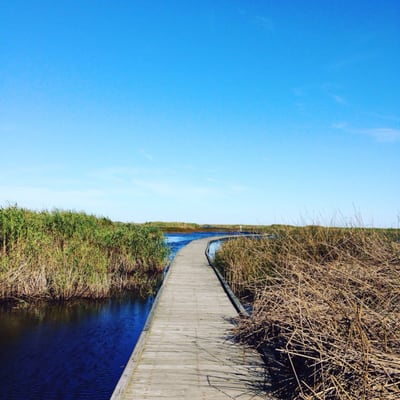 Sea Rim State Park by null