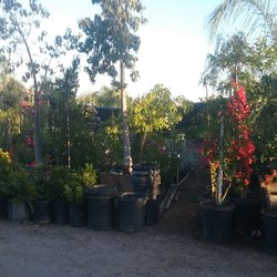 Nicolas Nursery