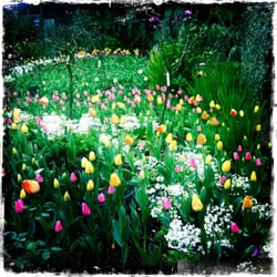Eden Garden - Just stunning
