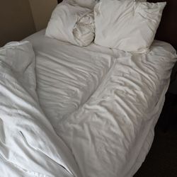 Comfort Inn Near Greenfield Village - These are the photos of my bed mattress having a complete hole in it.