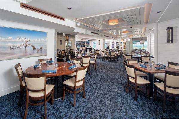 The Turtle Club by null