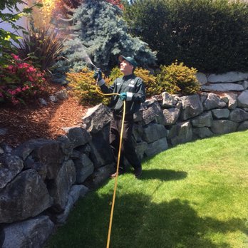All Seasons Pest Control - Pest Control Near Me - Spanaway, Washington All Seasons Pest Control - Pest Control Near Me - Spanaway, Washington