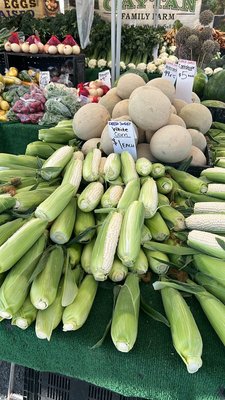 Joshua Tree Certified Farmers' Market by null