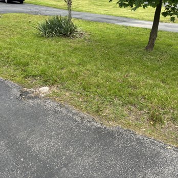 Eleve Property Services - Lawn Services Near Me - Chicago, Illinois Eleve Property Services - Lawn Services Near Me - Chicago, Illinois