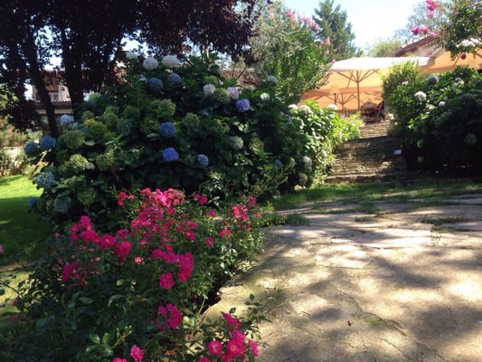 Casa Lavanda Boutique Hotel & Restaurant by null