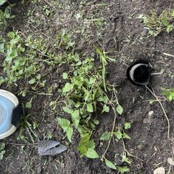 Matthew's Sprinklers