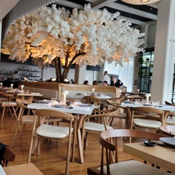 Janken - White cherry blossom tree inside of restaurant. Cool decor. - Japanese Near Me - Portland, Oregon Janken - White cherry blossom tree inside of restaurant. Cool decor. - Japanese Near Me - Portland, Oregon