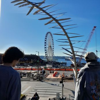 The Seattle Great Wheel - Amusement Parks Near Me - Seattle, Washington