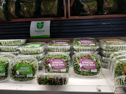 Fiesta Farms by null